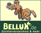 bellux_141x113